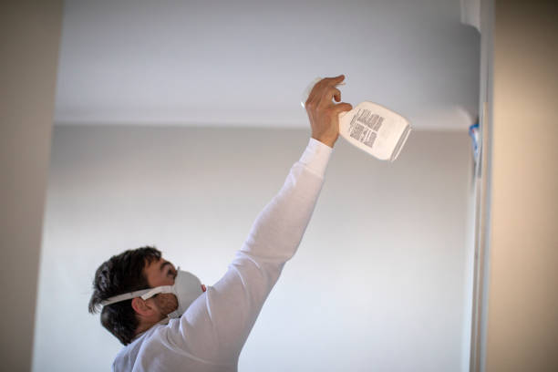 Best Mold Removal Company Near Me  in Scott Af, IL
