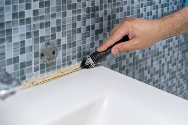 Best Mold Removal Near Me  in Scott Af, IL